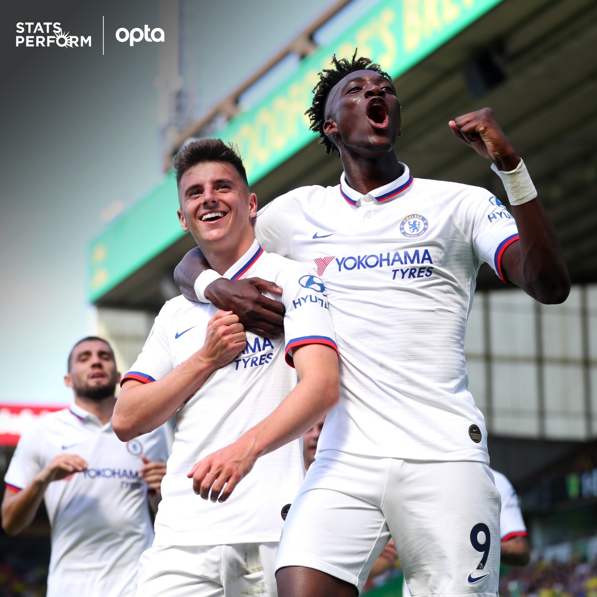 特的投射能 特的投射能